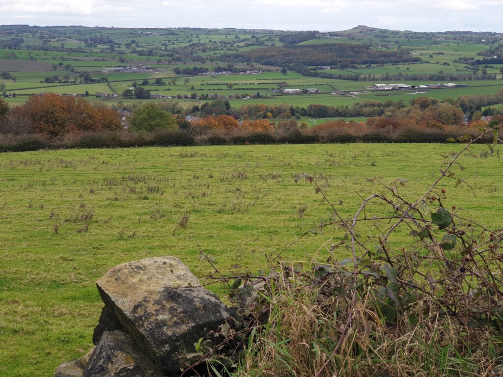 View From Pool Bank Farm